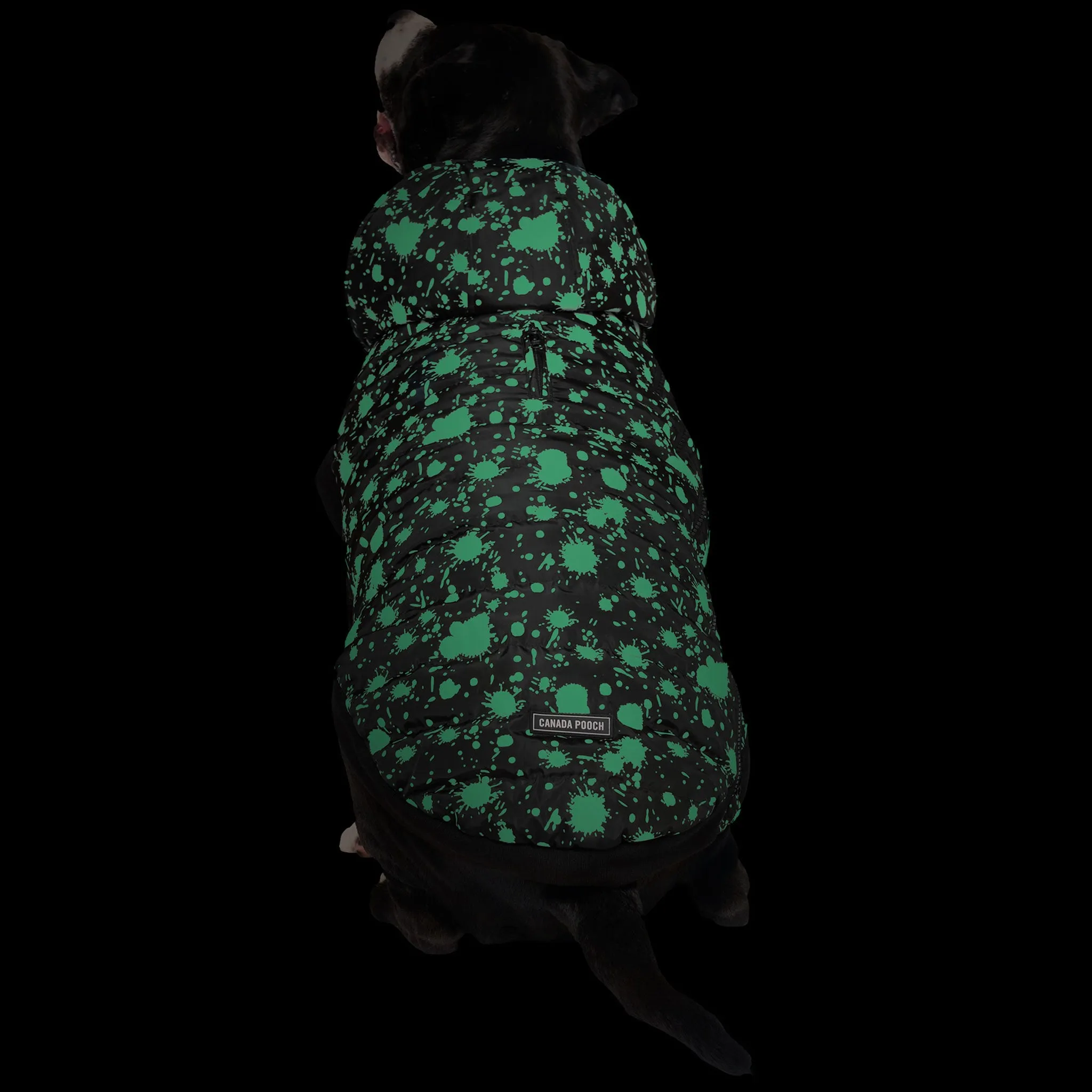 Canada Pooch Prism Puffer Black Splatter Glow