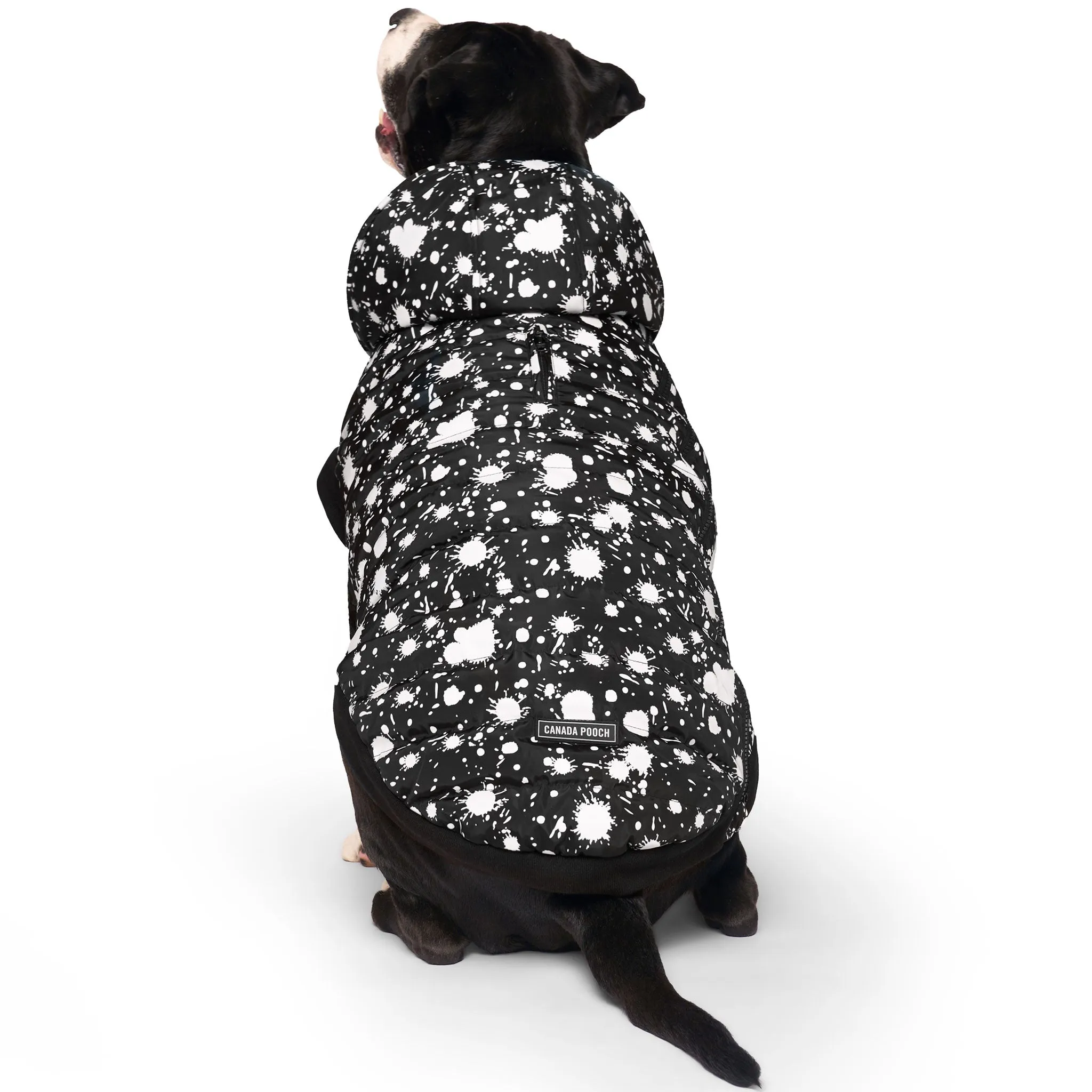 Canada Pooch Prism Puffer Black Splatter Glow