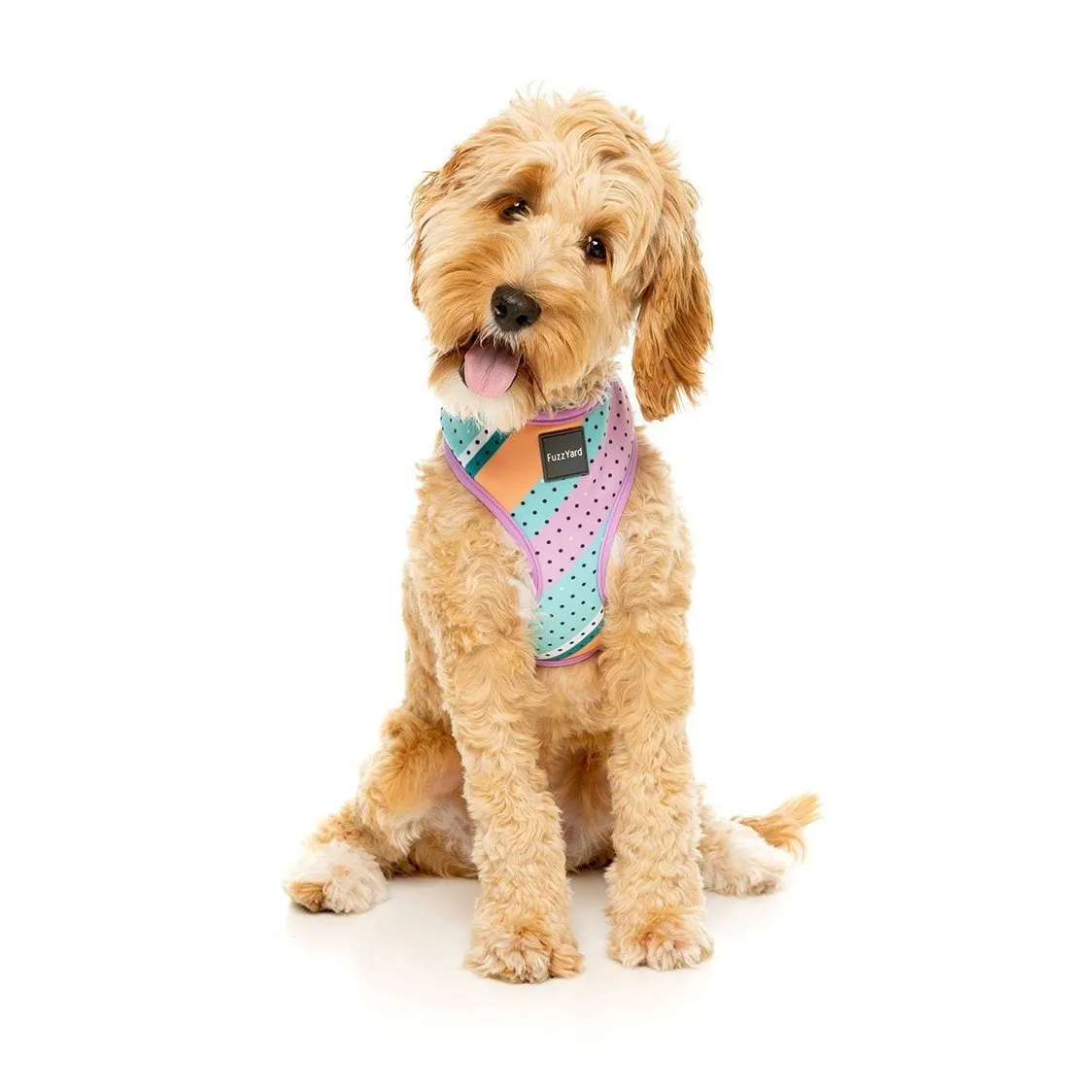 FuzzYard Dog Harness Footloose Small*