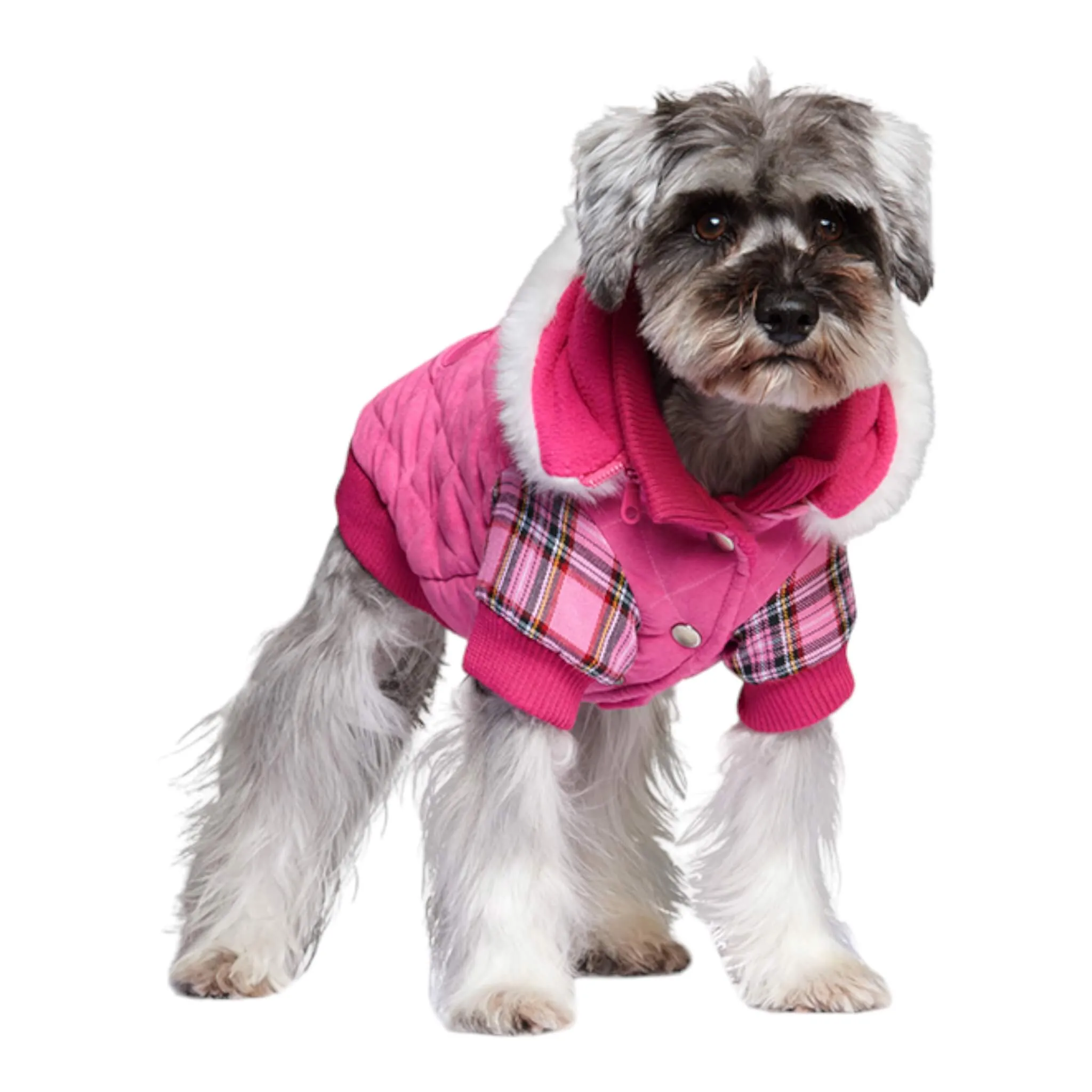 Highland Lady Quilted Tartan Dog Coat