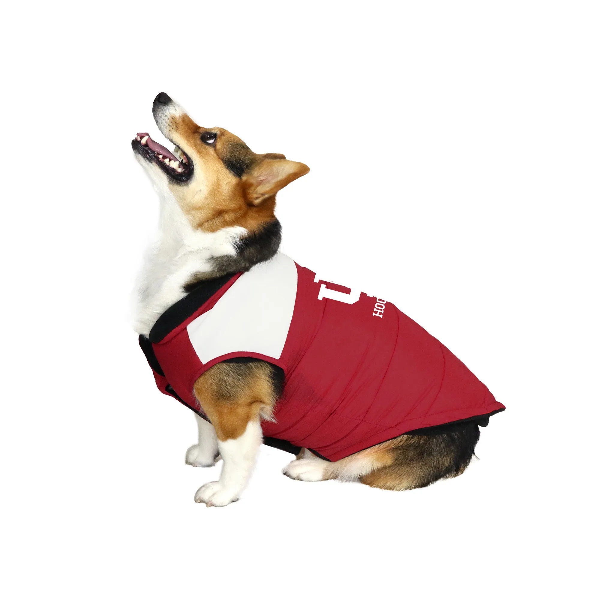 Indiana University Pet Parka Puff Vest