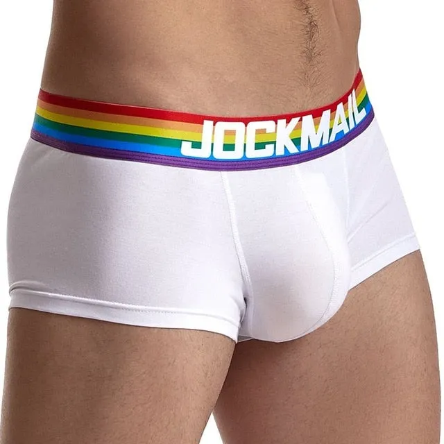 Rainbow Stripe Waistband Man Briefs and Boxers