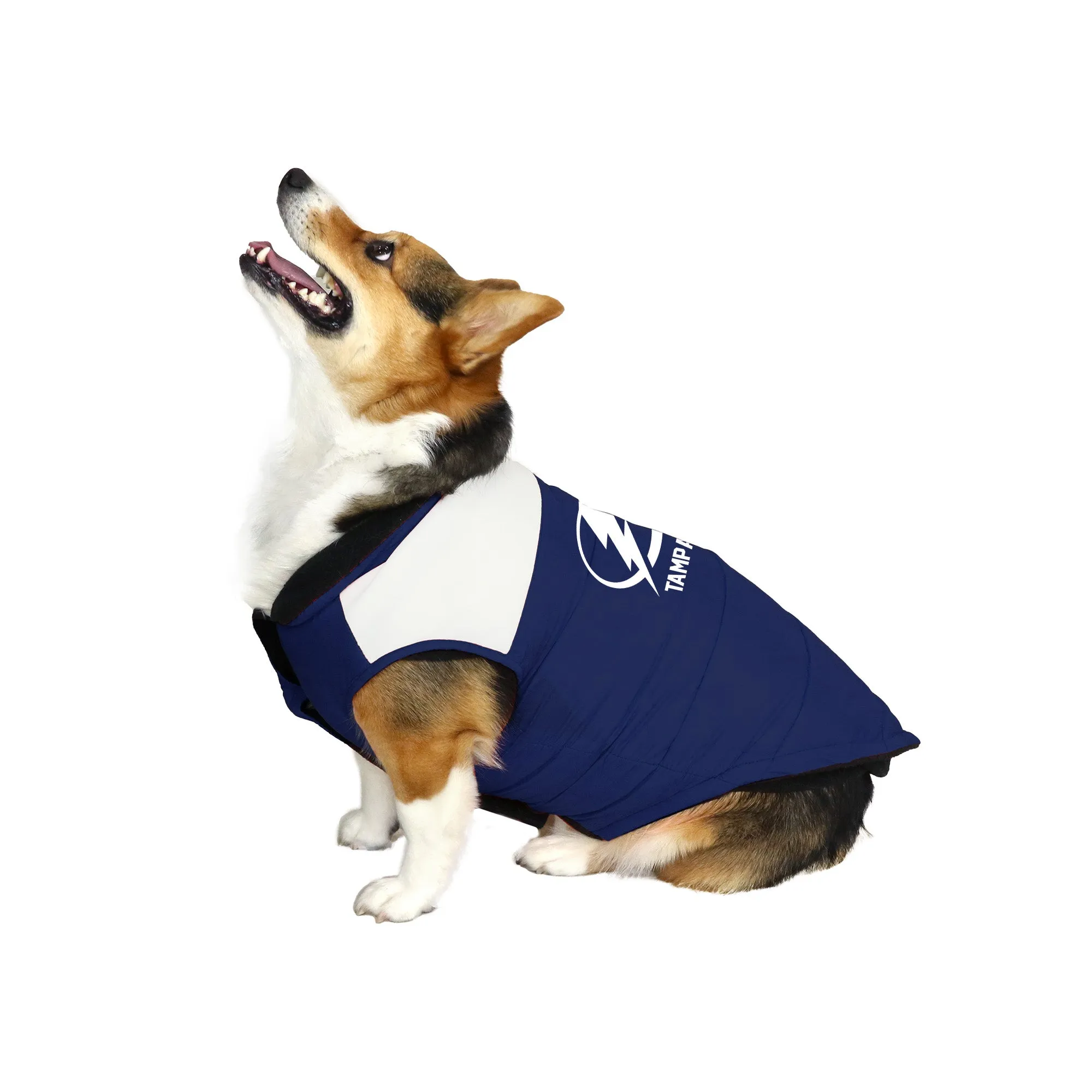 Tampa Bay Lightning Pet Parka Puff Vest