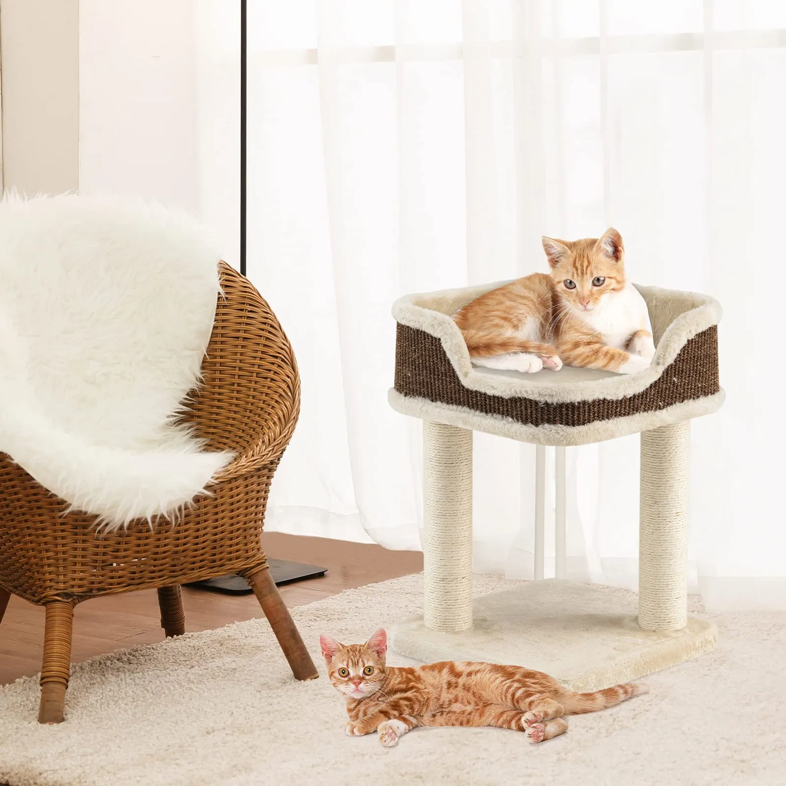 Tangkula Small Cat Tree for Indoor Cats, Modern Carpeted Cat Tower with Soft Plush Perch