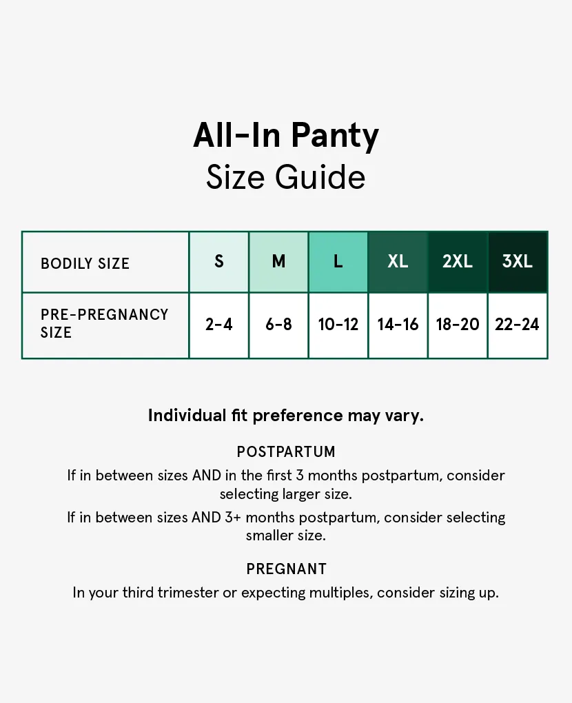 The All-In Panty: Single Plus Size (3X only)