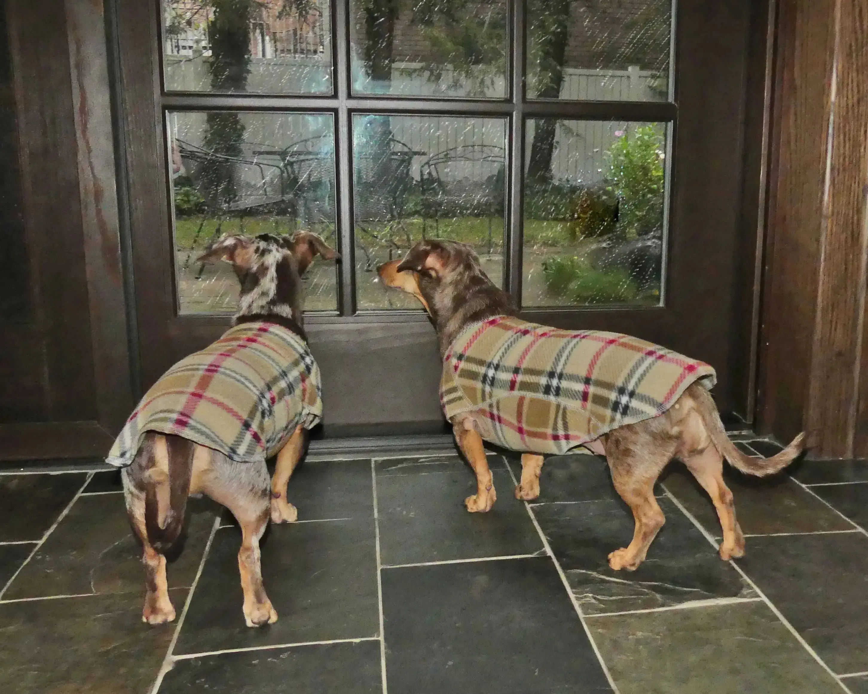 The Ultimate Plaid Warm Fleece Dog Sweater 3 LBS to 120 LBS