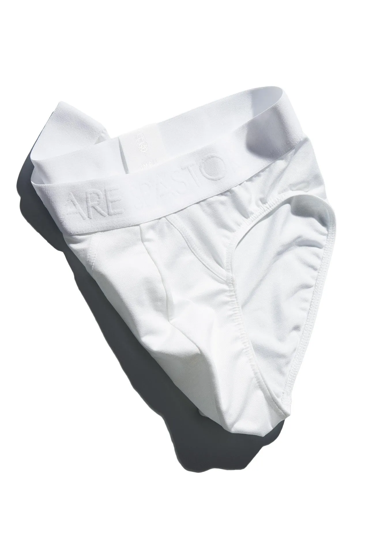 WE ARE SPASTOR WHITE BRIEF