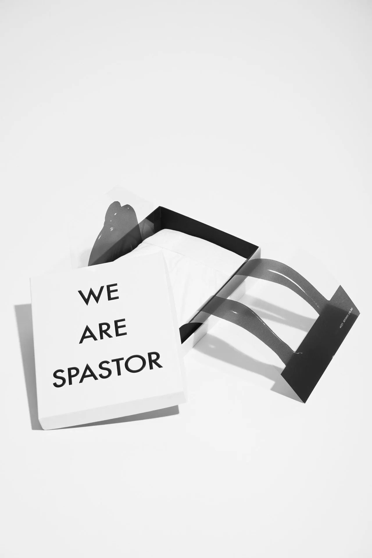 WE ARE SPASTOR WHITE BRIEF