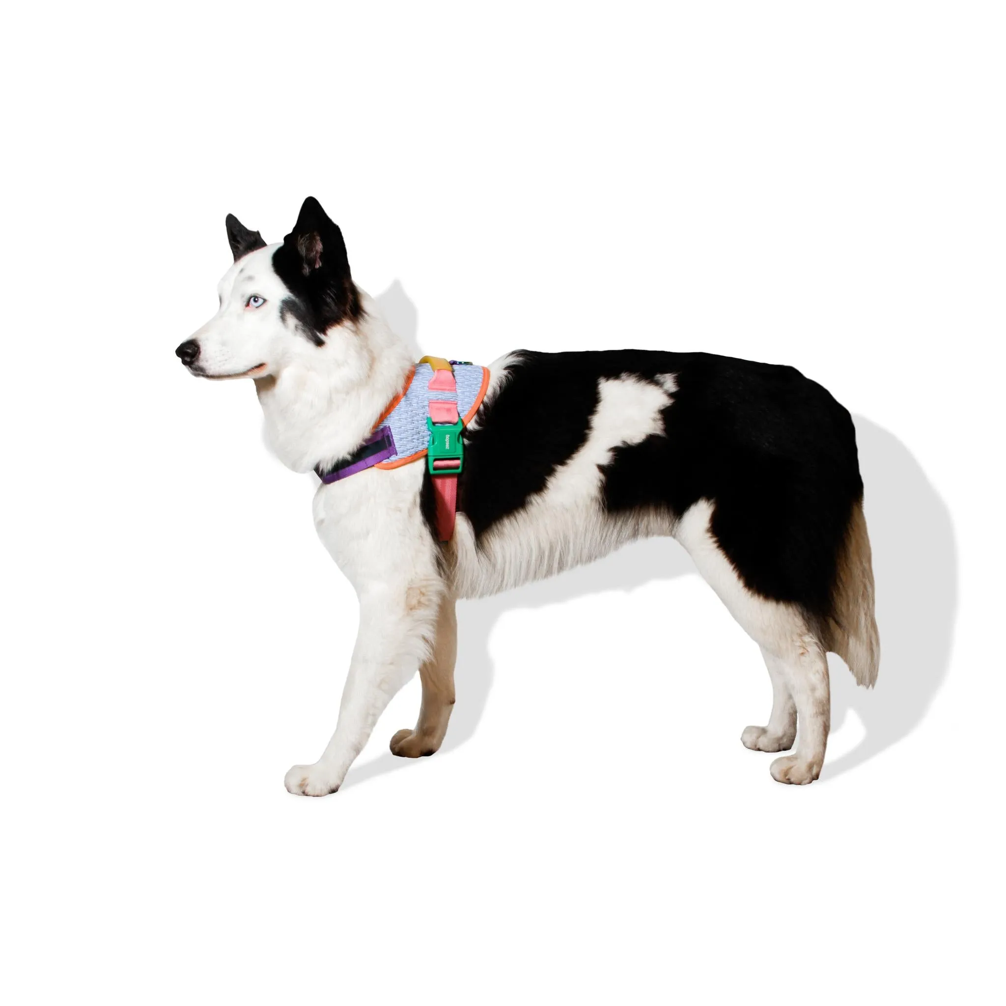 Zee Dog Galaxy Dog Flyharness